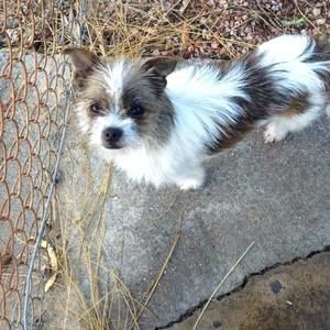 Meet your Posher, Anna lisa